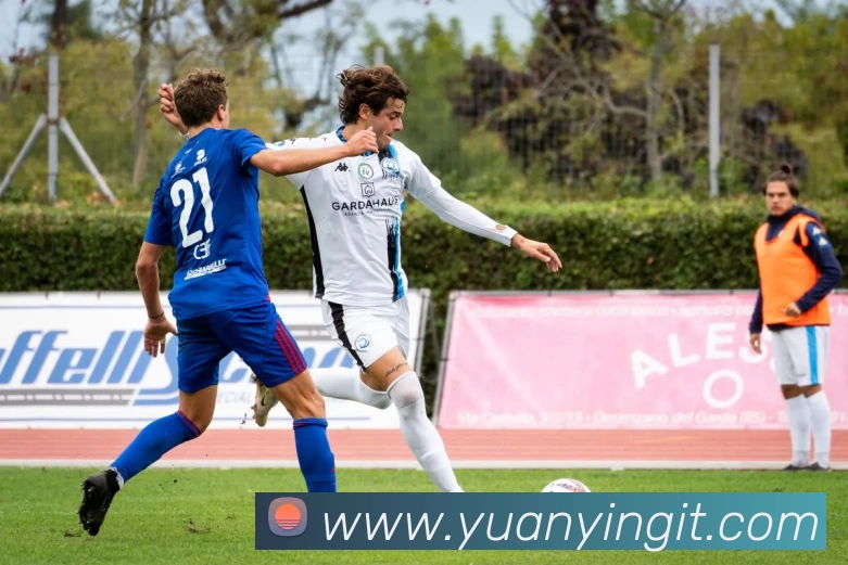 App Interface Preview